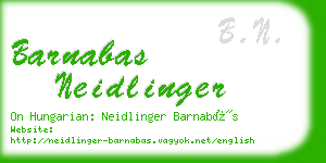 barnabas neidlinger business card